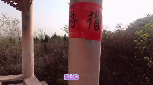 清徐服務(wù)區(qū)新發(fā)現(xiàn) 共享自行車服務(wù)，旅途中的便捷新選擇